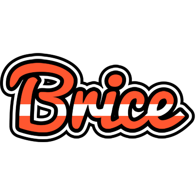 Brice denmark logo
