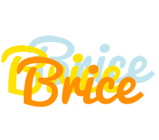 Brice energy logo