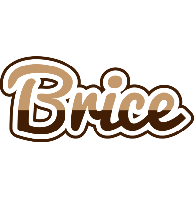 Brice exclusive logo