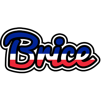 Brice france logo