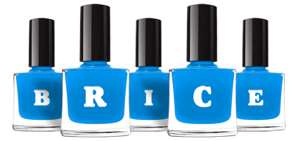 Brice glossy logo