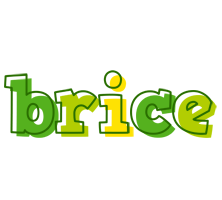 Brice juice logo