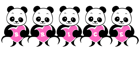 Brice love-panda logo