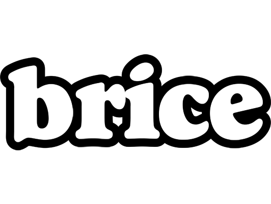 Brice panda logo