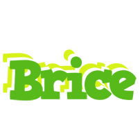 Brice picnic logo