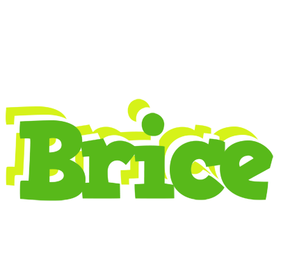 Brice picnic logo
