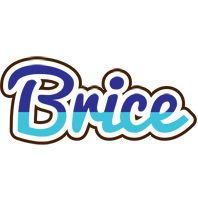 Brice raining logo