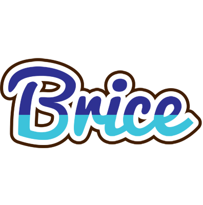 Brice raining logo