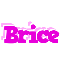 Brice rumba logo
