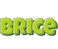 Brice summer logo