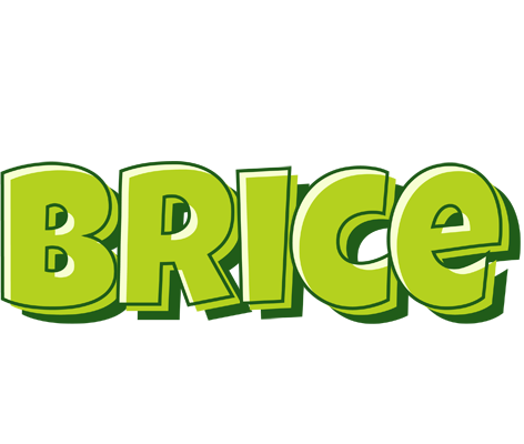 Brice summer logo