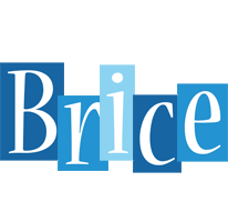 Brice winter logo