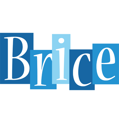 Brice winter logo