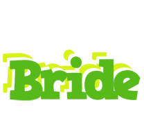 Bride picnic logo