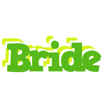 Bride picnic logo