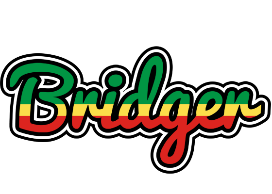 Bridger african logo