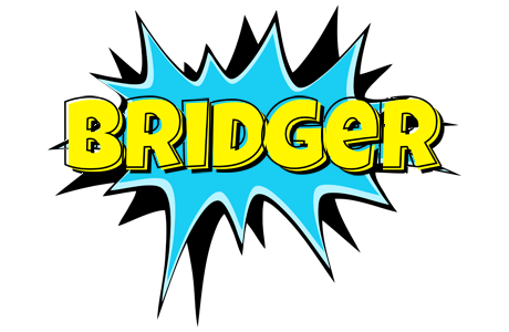 Bridger amazing logo