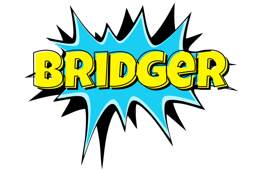 Bridger amazing logo