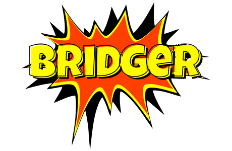 Bridger bazinga logo