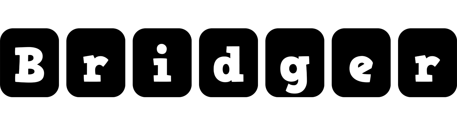 Bridger box logo