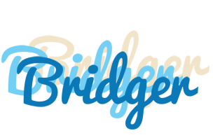 Bridger breeze logo