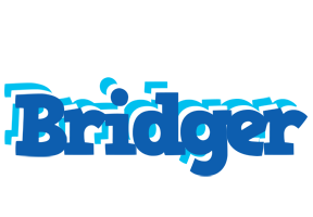 Bridger business logo