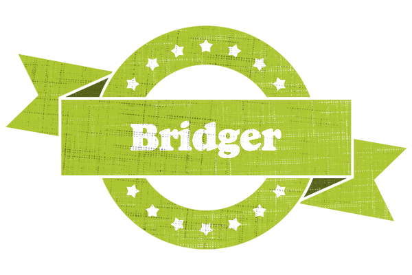 Bridger change logo