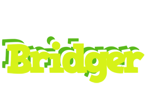 Bridger citrus logo