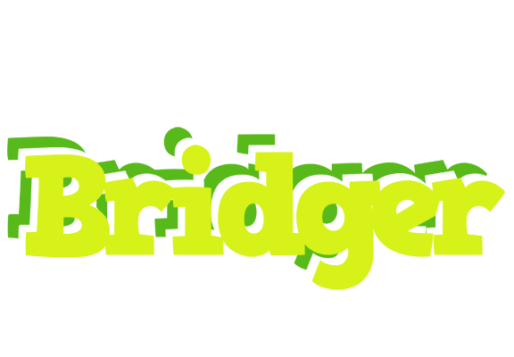 Bridger citrus logo