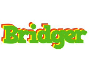 Bridger crocodile logo