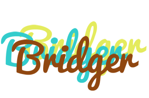 Bridger cupcake logo