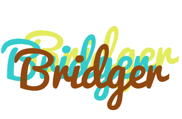 Bridger cupcake logo