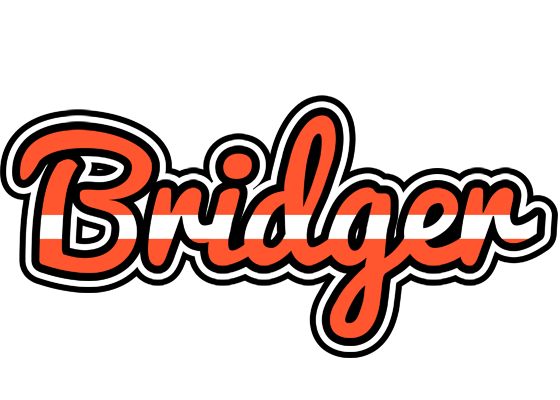 Bridger denmark logo