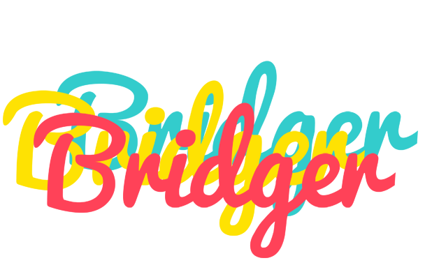 Bridger disco logo