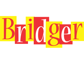 Bridger errors logo