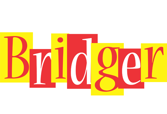 Bridger errors logo