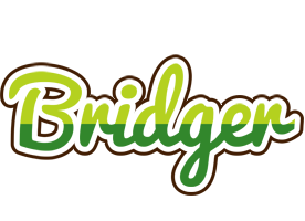 Bridger golfing logo