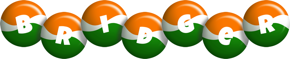 Bridger india logo