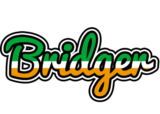 Bridger ireland logo