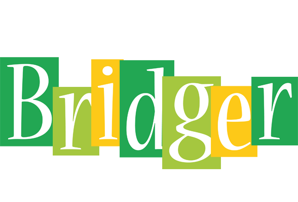 Bridger lemonade logo