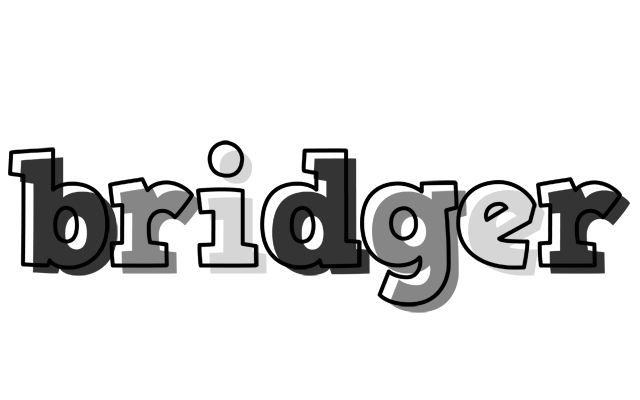 Bridger night logo
