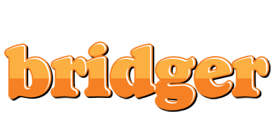 Bridger orange logo