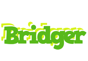 Bridger picnic logo