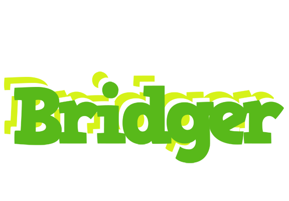 Bridger picnic logo
