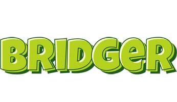 Bridger summer logo