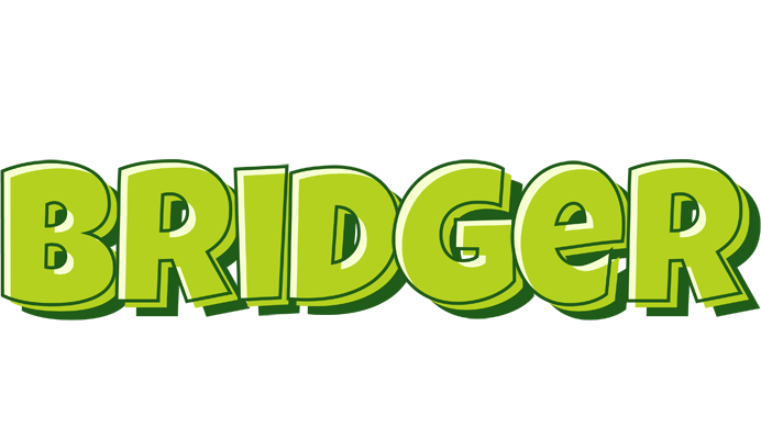 Bridger summer logo