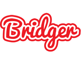 Bridger sunshine logo