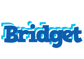 Bridget business logo