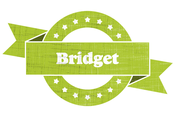 Bridget change logo