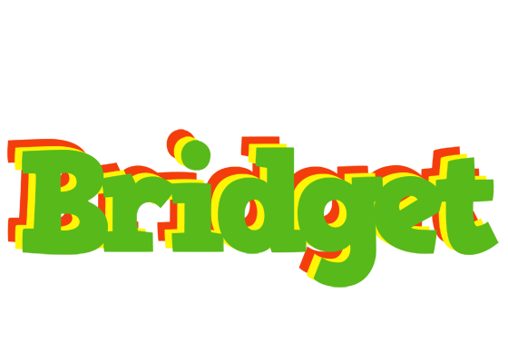 Bridget crocodile logo